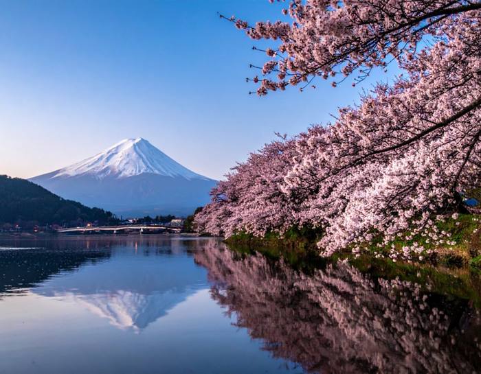 Japão